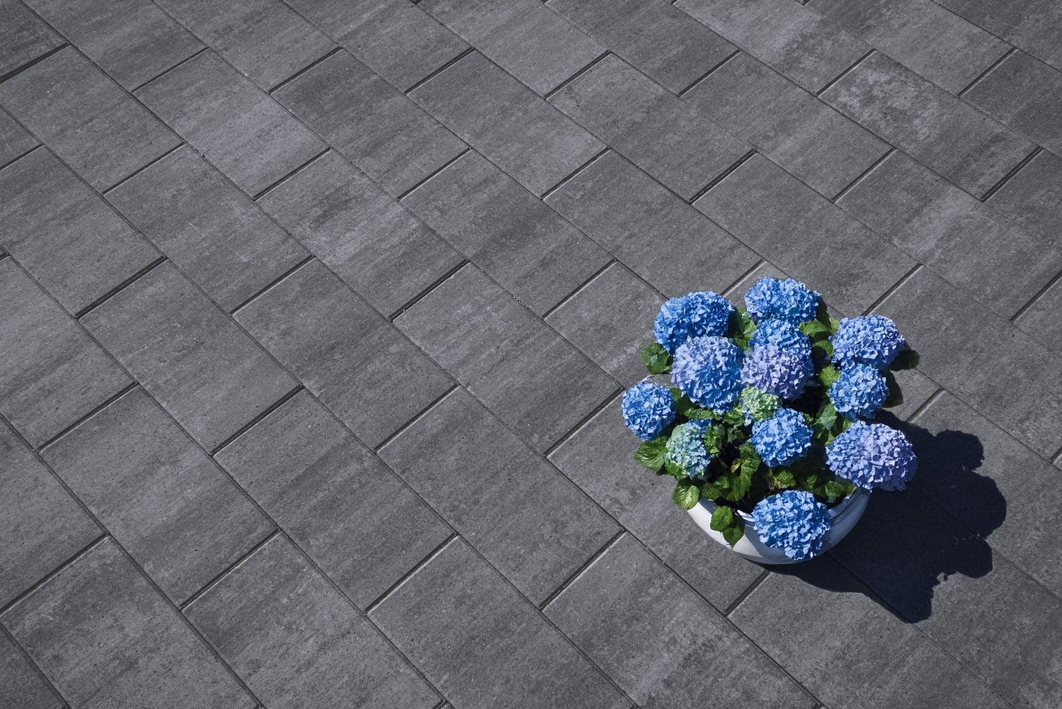VIA TERRASSENPLATTEN – VIA QUARZIT 40/20/4 CM PE2 – QUARZIT – 40 X 20 X 4 – Beschichtet – Hauptansicht
