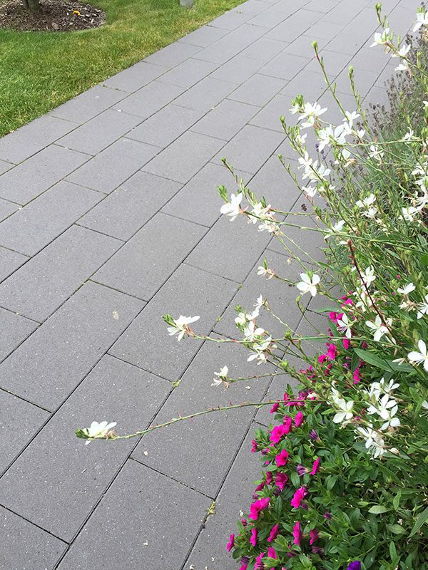 LUMO – LUMO BASALT MIT GLIMMER 40/20/6 CM PE2 – BASALT MIT GLIMMER – 40 x 20 x 6 cm – Beschichtet – Hauptansicht