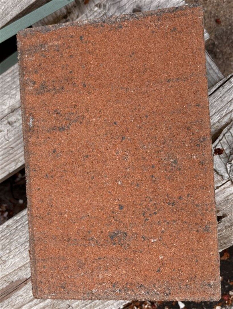 D-TEC 4 – Pflastersteine 1B D-TEC 4 MUSCHELK 24/16/8 VS 2/3 V – MUSCHELKALK – mit Fase – Hauptansicht