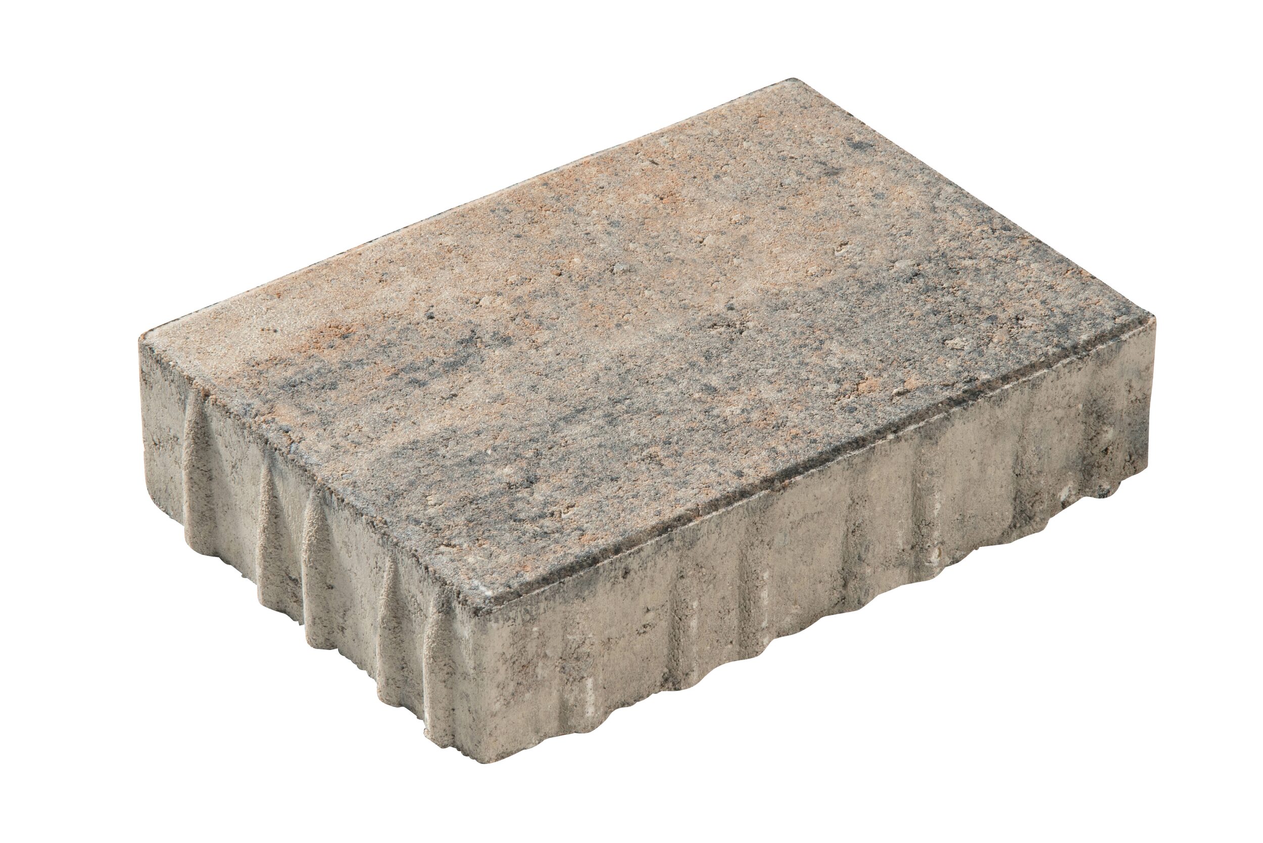 PAVIRO – PAVIRO MUSCHELKALK 21/14/5 CM PE2 – MUSCHELKALK – 21 x 14 x 5 cm – Beschichtet – Hauptansicht