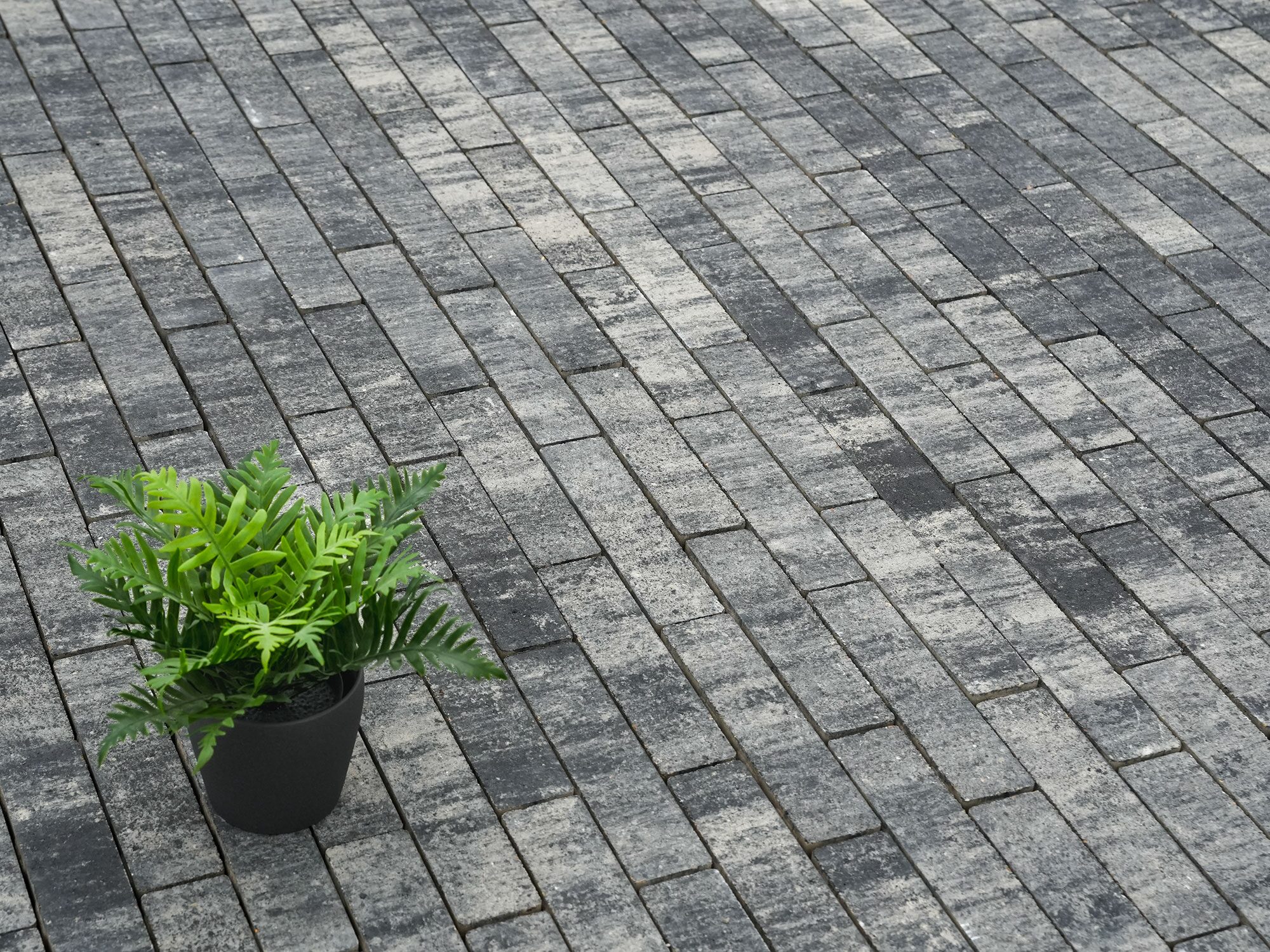 LIGONA – LIGONA RIEMCHEN WEIß-SCHWARZ 24/6/7 PE2 – WEISS-SCHWARZ – 24 x 6 x 7 cm – Beschichtet – Detailansicht