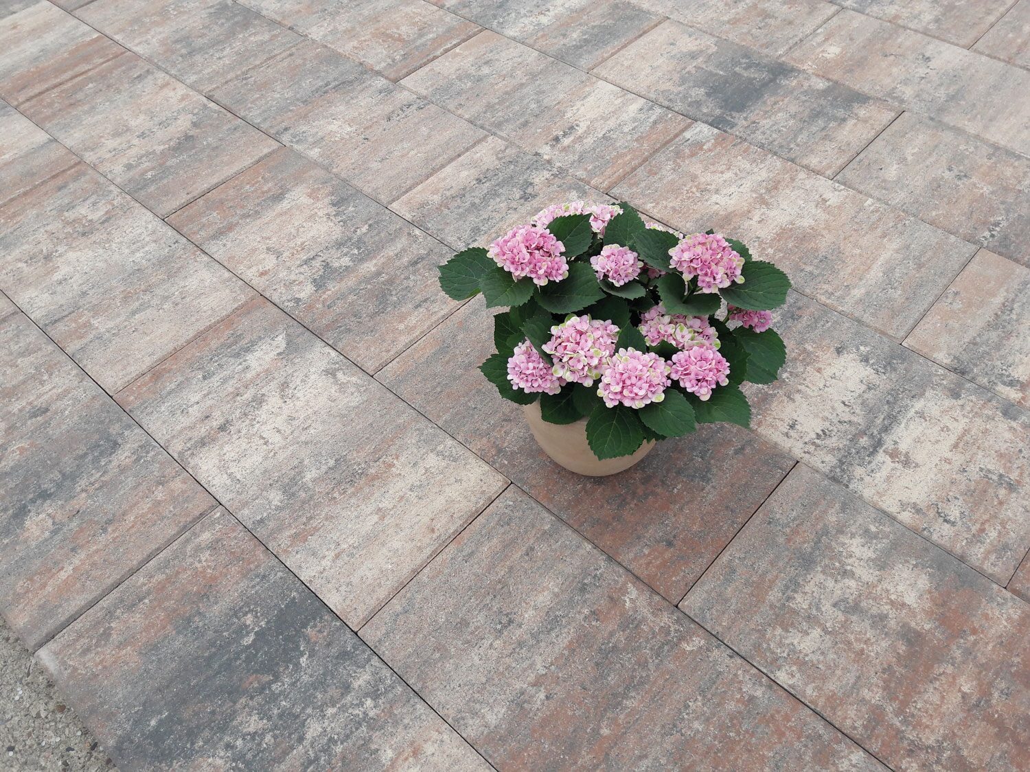 VIA TERRASSENPLATTEN – VIA MUSCHELBEIGE 60/30/4CM PE2 96/DBP – MUSCHELBEIGE – 60 x 30 x 4 cm – Beschichtet – Hauptansicht