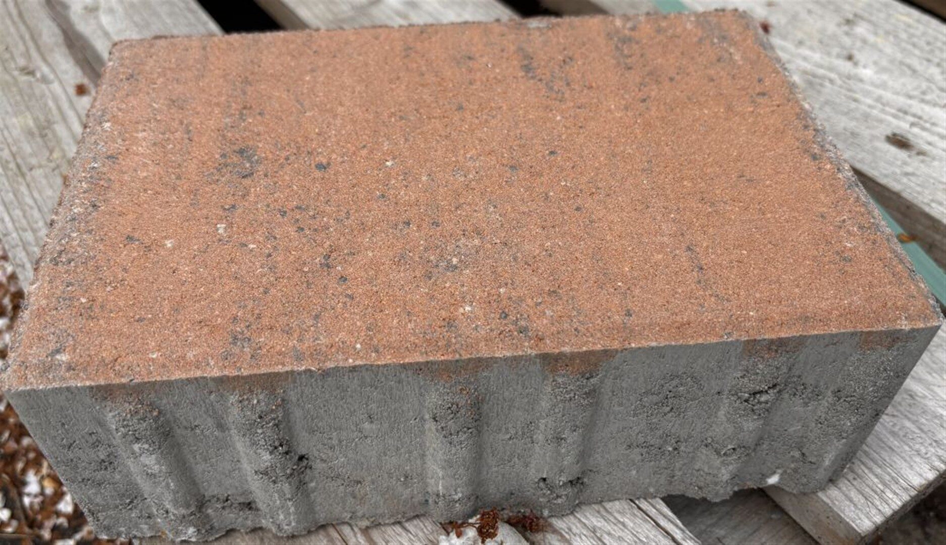 D-TEC 4 – Pflastersteine 1B D-TEC 4 MUSCHELK 24/16/8 VS 2/3 V – MUSCHELKALK – mit Fase – Hauptansicht