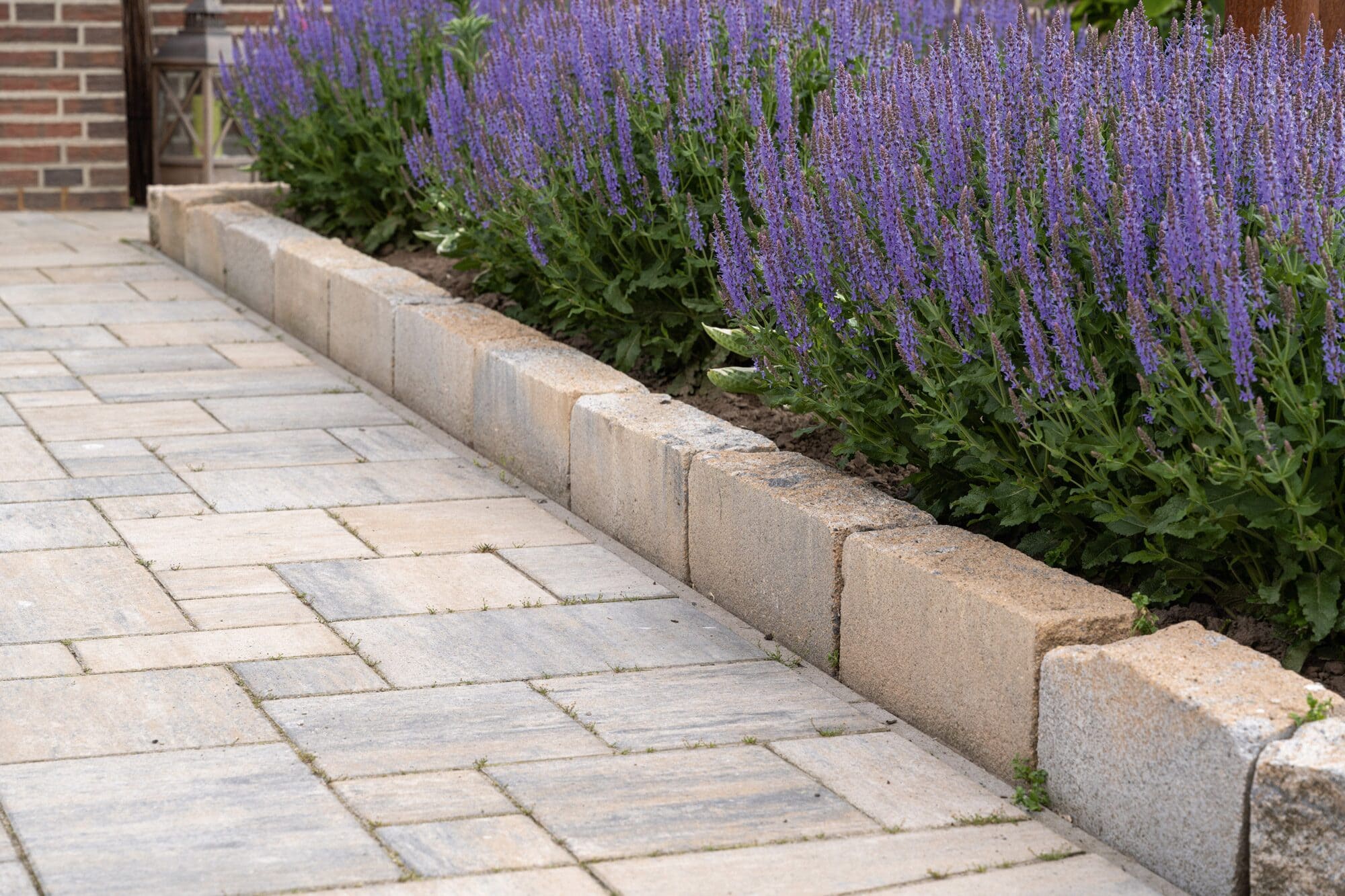 ANTIK MAUER – ANTIK GEK. MUSCHELK. 42/21/14 CM 72/DBP – MUSCHELKALK – 42 x 21 x 14 cm – Antik – Detailansicht