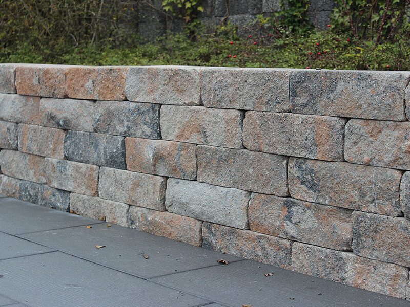 SIOLA®-MEDIO – SIOLA-MEDIO MUSCHELKALK 42/21/12,5 PE3 – MUSCHELKALK – 42 x 21 x 12,5 cm – Beschichtet – Hauptansicht