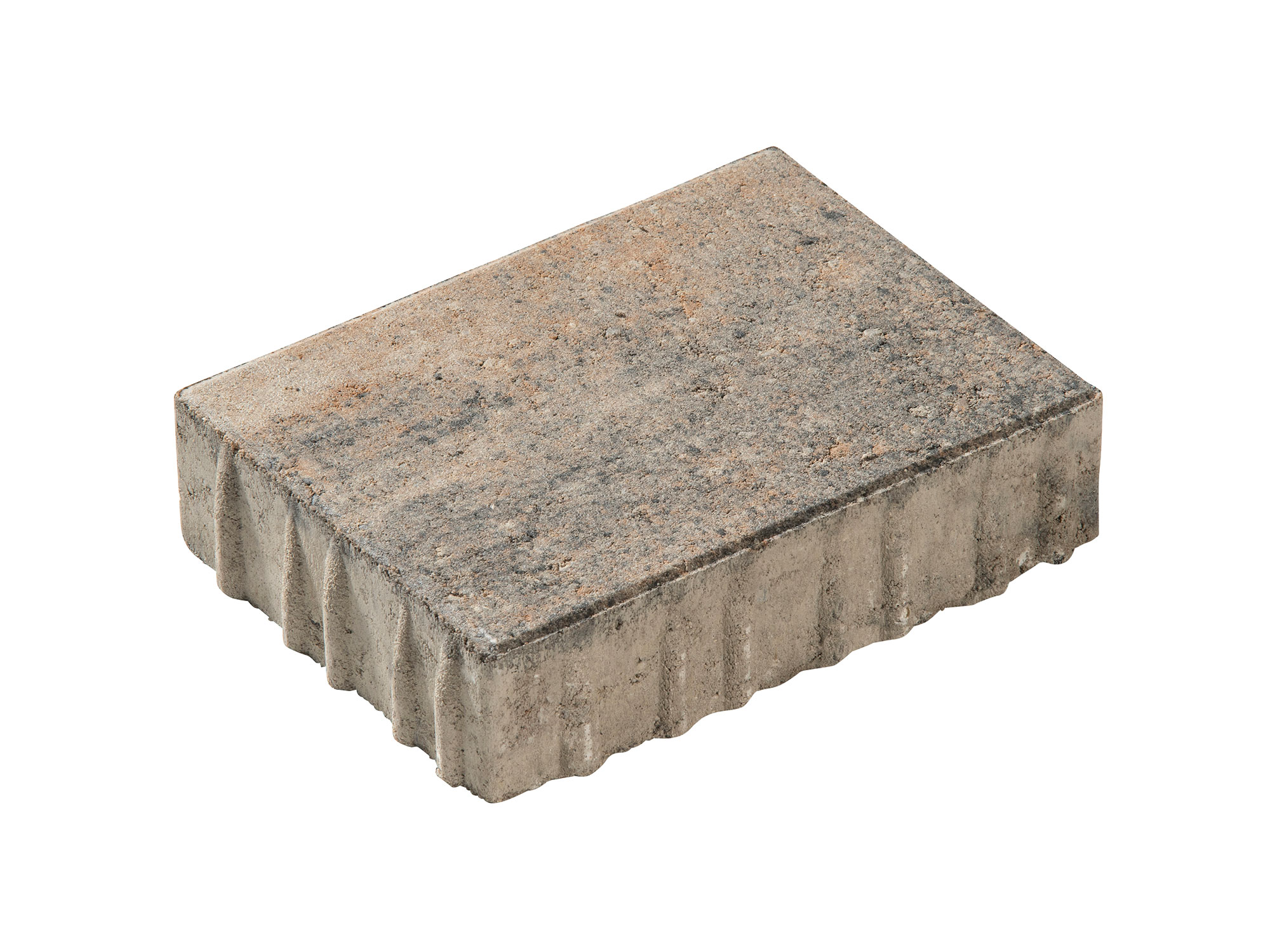 TINIO – TINIO MUSCHELKALK 16/12/4 CM PE2 – MUSCHELKALK – 16 x 12 x 4 cm – Beschichtet – Hauptansicht