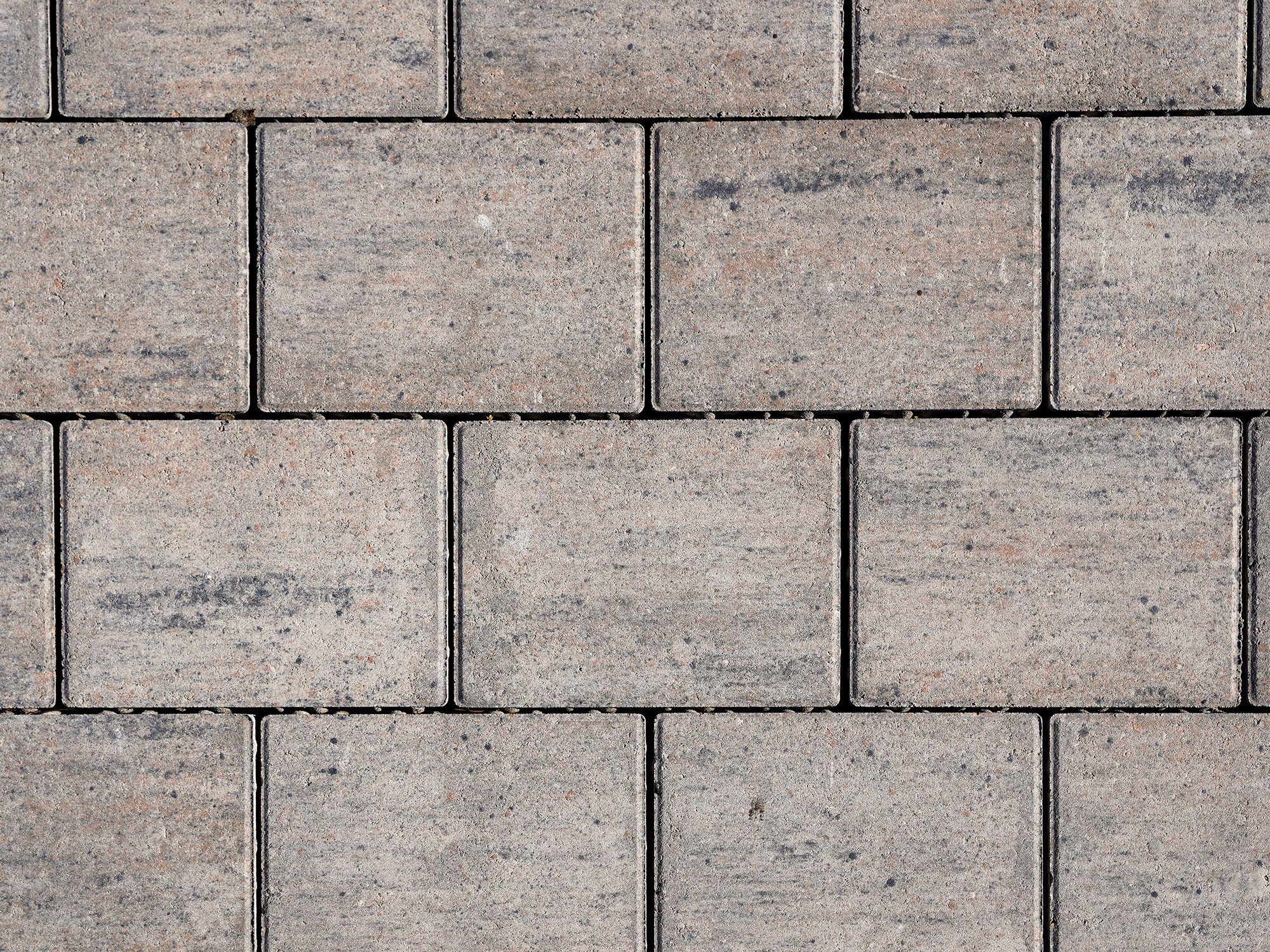 PAVIRO – PAVIRO MUSCHELKALK 21/14/5 CM PE2 – MUSCHELKALK – 21 x 14 x 5 cm – Beschichtet – Hauptansicht