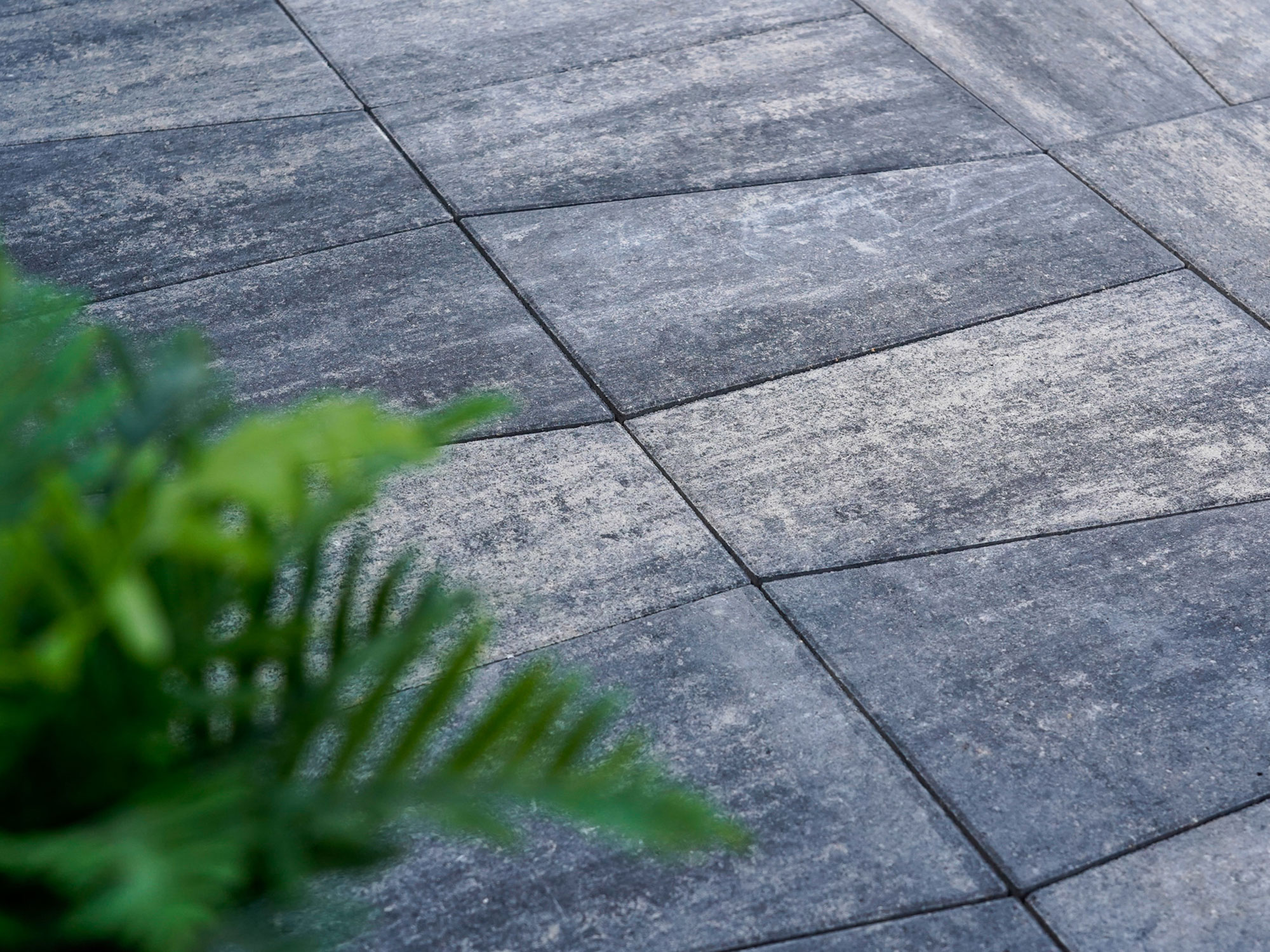 TRAPEA – TRAPEA WEIß-SCHWARZ 50/30/20/4 CM PE2 – WEISS-SCHWARZ – 50 X 30/ 20 x 4 cm – Beschichtet – Weitere Ansicht