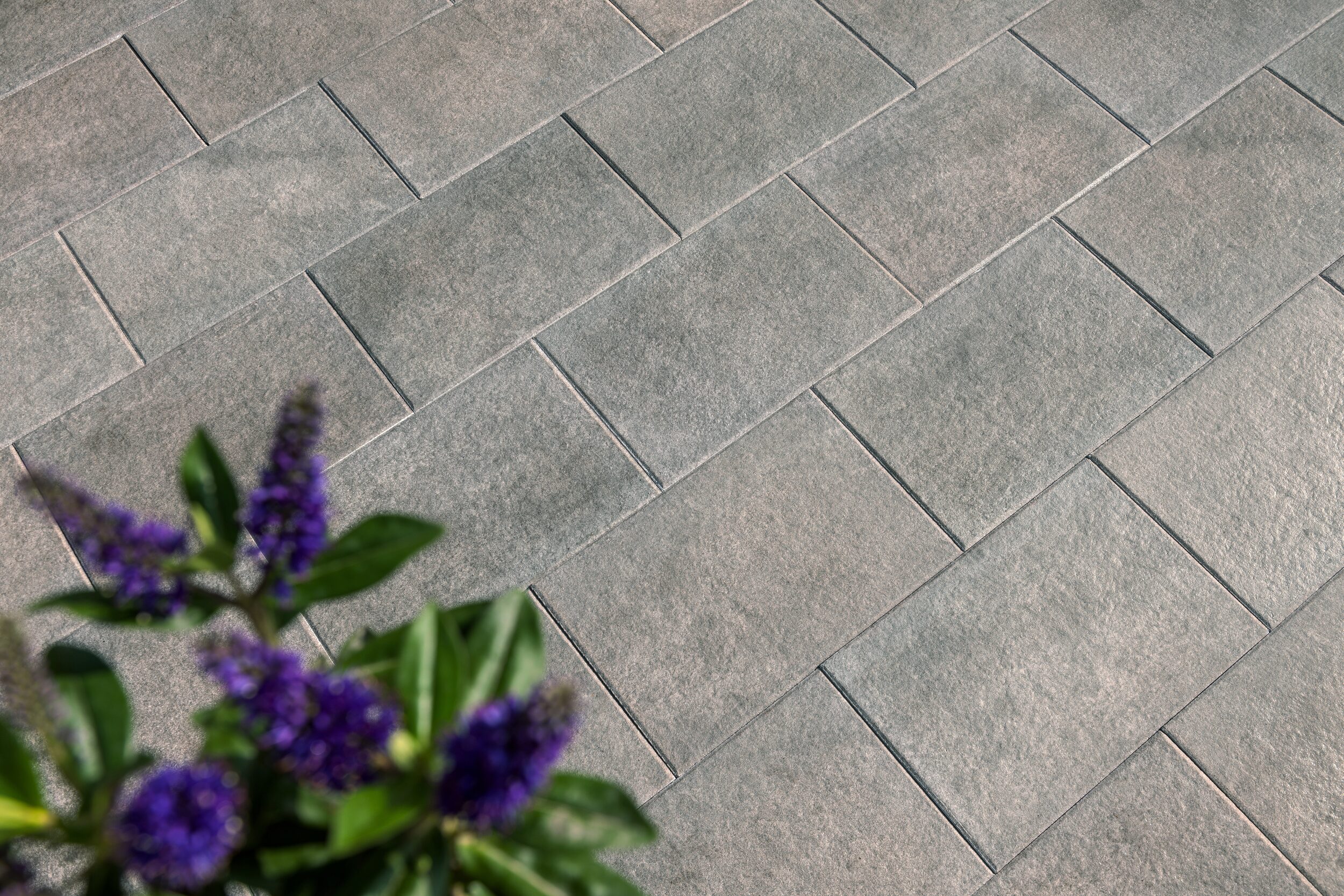 CALEO – CALEO BASALT 60/40/4 CM PE5 HK – BASALT – 60 x 40 x 4 cm – Beschichtet – Hauptansicht