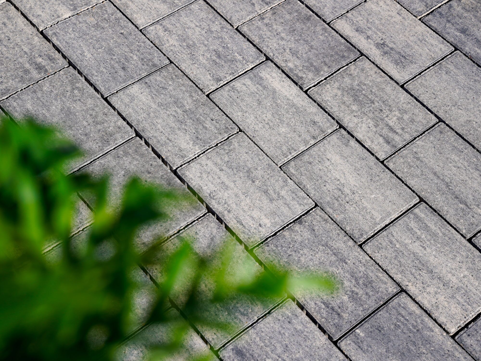 PAVIRO – PAVIRO WEIß-SCHWARZ 21/14/5 CM PE2 – WEISS-SCHWARZ – 21 x 14 x 5 cm – Beschichtet – Detailansicht