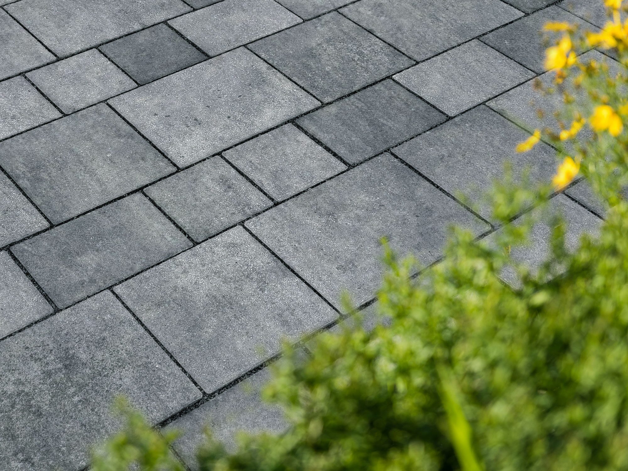 VIA CALLO – VIA CALLO GRAPHIT PE2 – GRAPHIT – mehrformat – Beschichtet – Hauptansicht