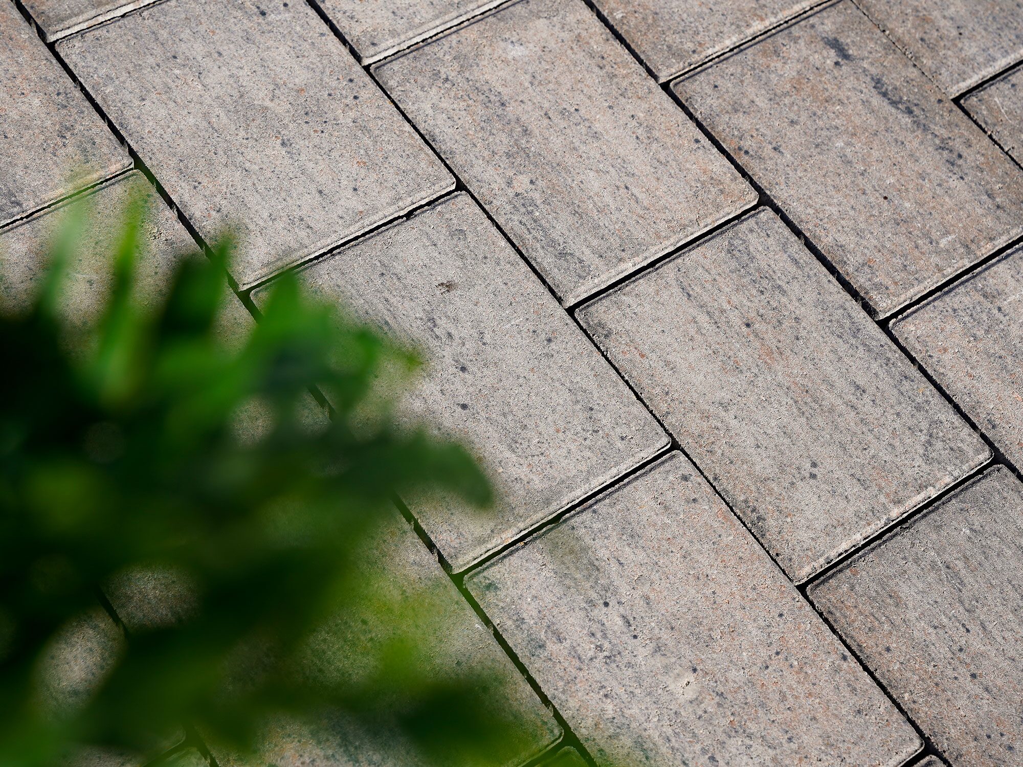 PAVIRO – PAVIRO MUSCHELKALK 21/14/5 CM PE2 – MUSCHELKALK – 21 x 14 x 5 cm – Beschichtet – Detailansicht