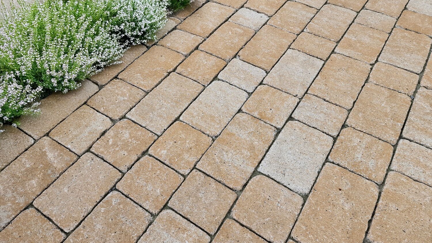 ANTIKPFLASTER MULTI – ANTIK MULTI SANDSTEIN 21/14/6 CM – SANDSTEIN – 21 x 14 x 6 cm – Antik – Detailansicht