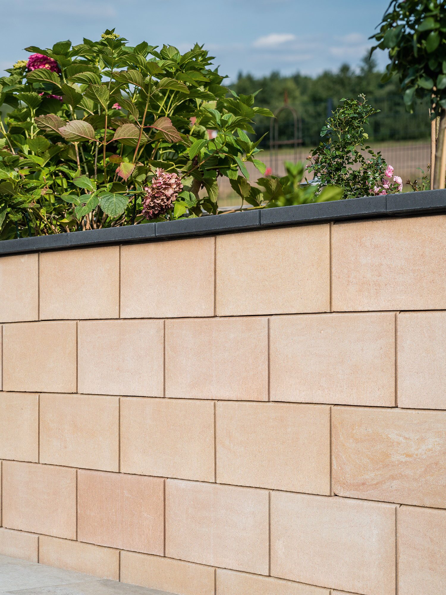 CONO SCHALUNGSSTEINE – CONO SCHALUNGSSTEIN SANDSTEIN 50/24/25CM – SANDSTEIN – 50 x 24 x 25 cm – Unbehandelt – Seitenansicht