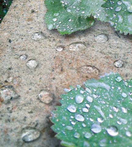 SIOLA®-MINI – SIOLA-MINI SANDSTEIN 25/16,5/15 CM PE3 – SANDSTEIN – 25 x 16,5 x 15 cm – Beschichtet – Produktbild 6