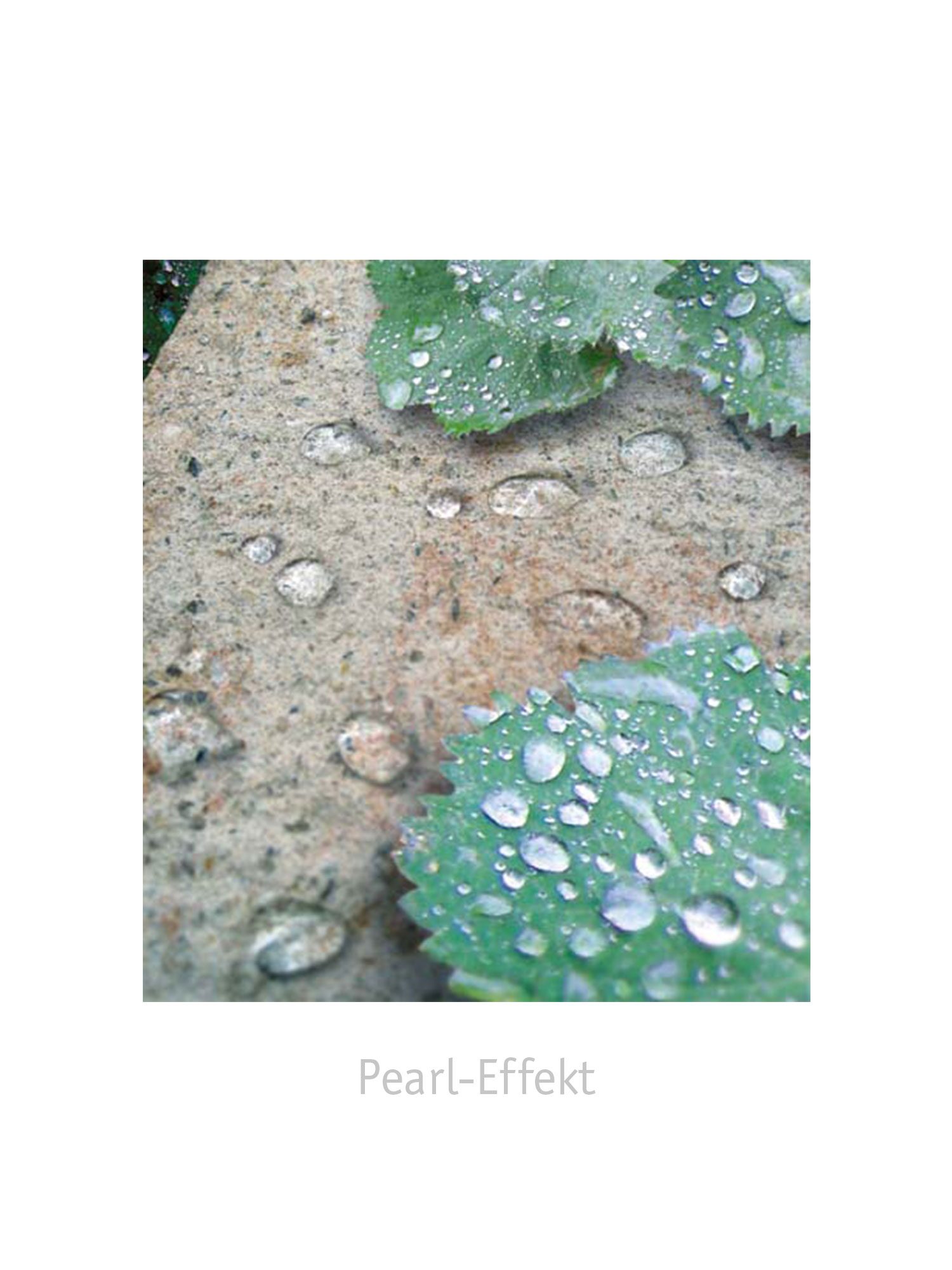 SIOLA®-KOMBI – SIOLA-KOMBI MUSCHELK 37,5/12,5/12,5 PE3 – MUSCHELKALK – 37,5 x 12,5 x 12,5 cm – Beschichtet – Produktbild 8