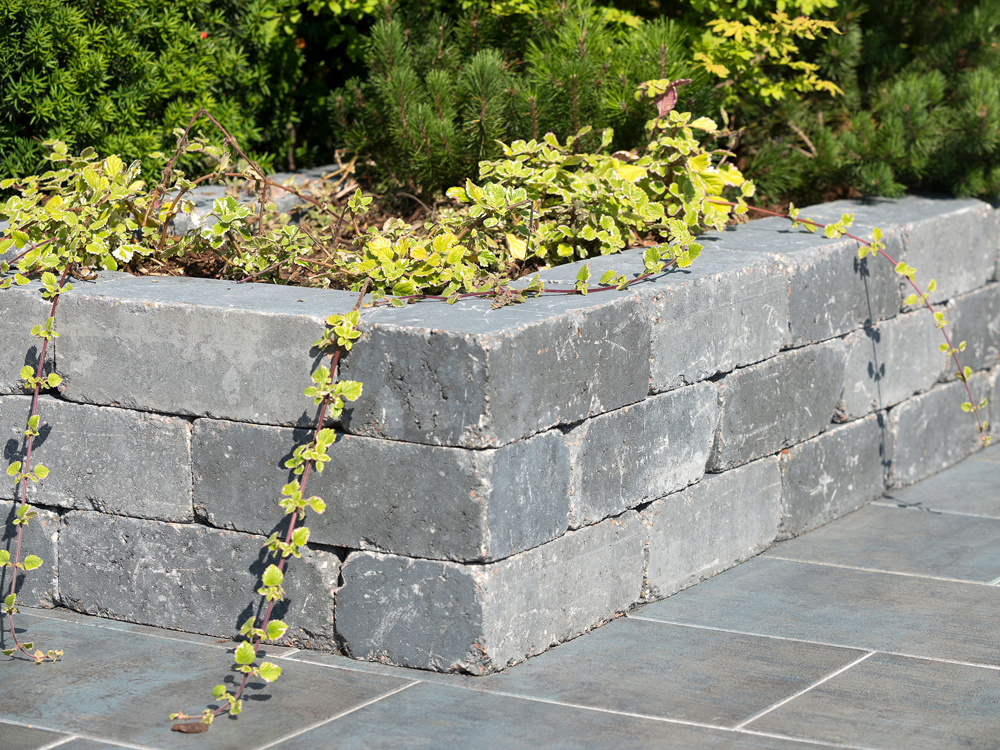 ANTIK MAUER – ANTIK GEK. BASALT 42/21/21 CM 48/DBP – BASALT – 42 X 21 X 21 CM – Antik – Hauptansicht