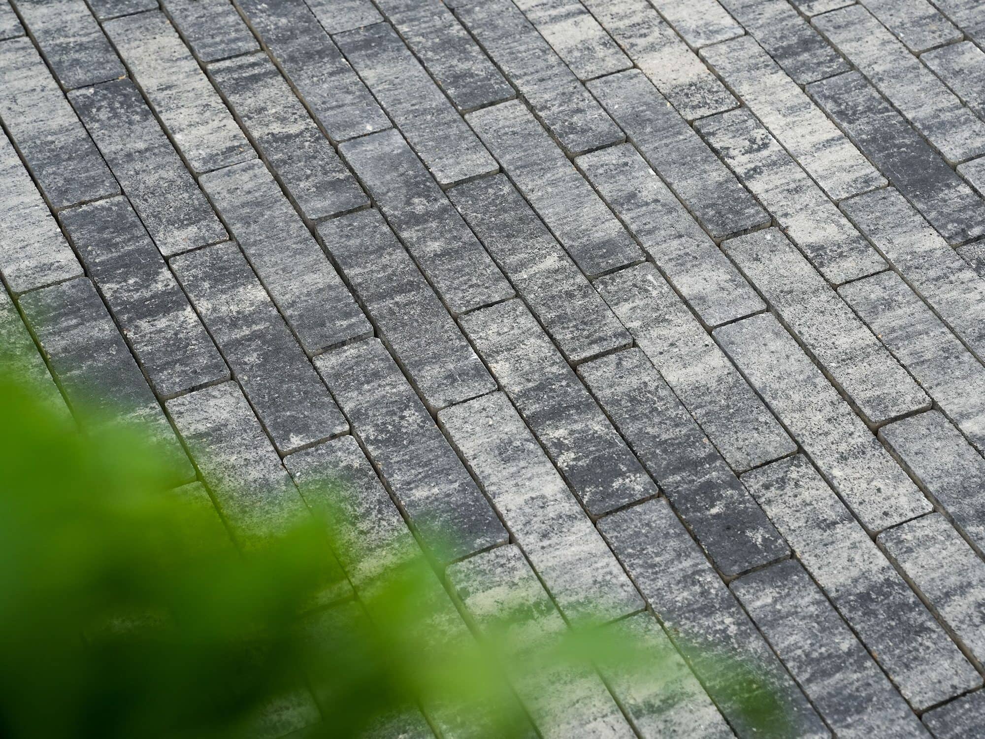 LIGONA – LIGONA RIEMCHEN WEIß-SCHWARZ 24/6/7 PE2 – WEISS-SCHWARZ – 24 x 6 x 7 cm – Beschichtet – Seitenansicht