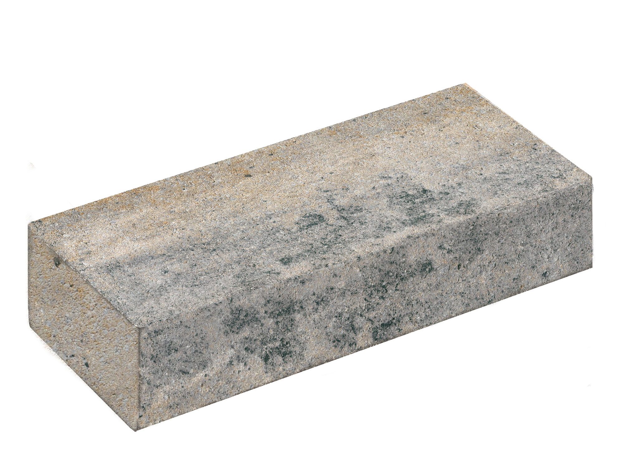 LISCO MEDIO – LISCO MEDIO MUSCHELKALK 42/21/12,5 CM – MUSCHELKALK – 42 x 21 x 12,5 cm – Unbehandelt – Hauptansicht