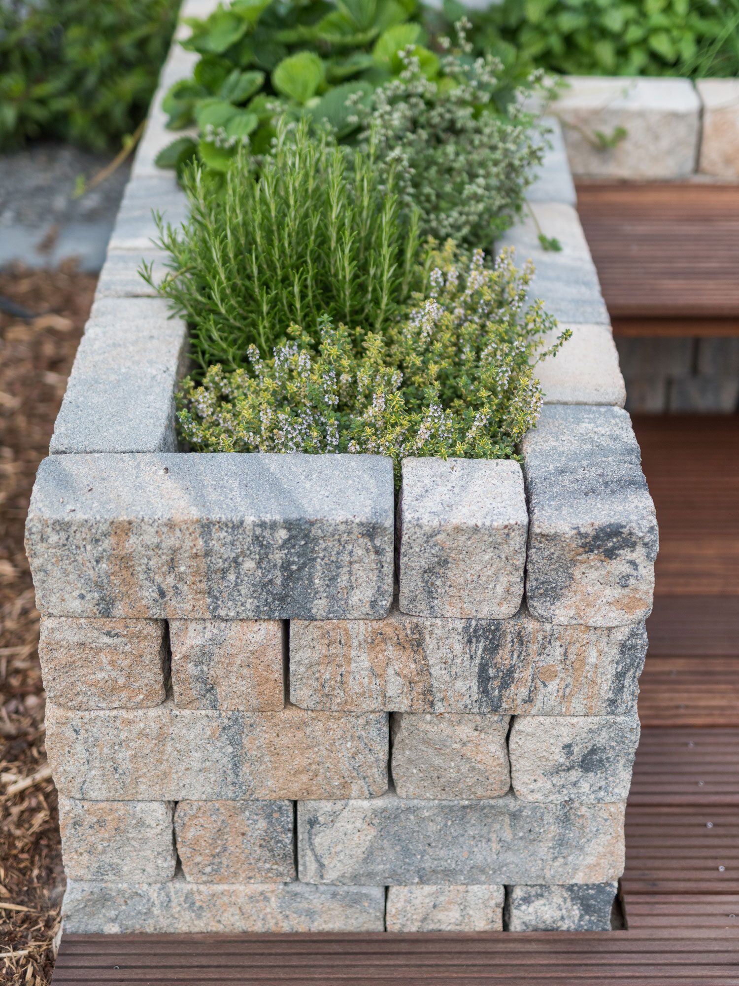 SIOLA®-KOMBI – SIOLA-KOMBI MUSCHELK 37,5/12,5/12,5 PE3 – MUSCHELKALK – 37,5 x 12,5 x 12,5 cm – Beschichtet – Produktbild 7