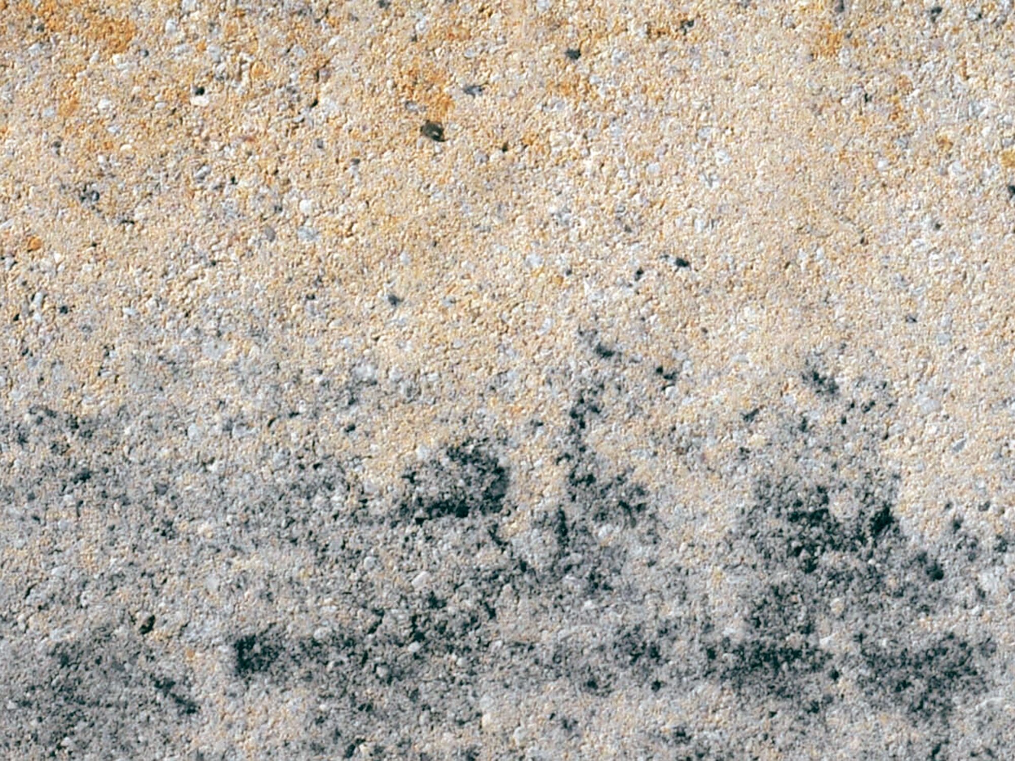 LISCO MEDIO – LISCO MEDIO MUSCHELKALK 42/21/12,5 CM – MUSCHELKALK – 42 x 21 x 12,5 cm – Unbehandelt – Hauptansicht