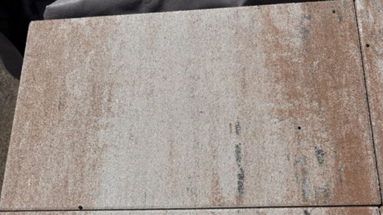 DIORA – Terrassenplatten 1B DIORA MUSCHELKALK 60/40/4 CM – MUSCHELKALK – 60 x 40 x 4 cm – Hauptansicht