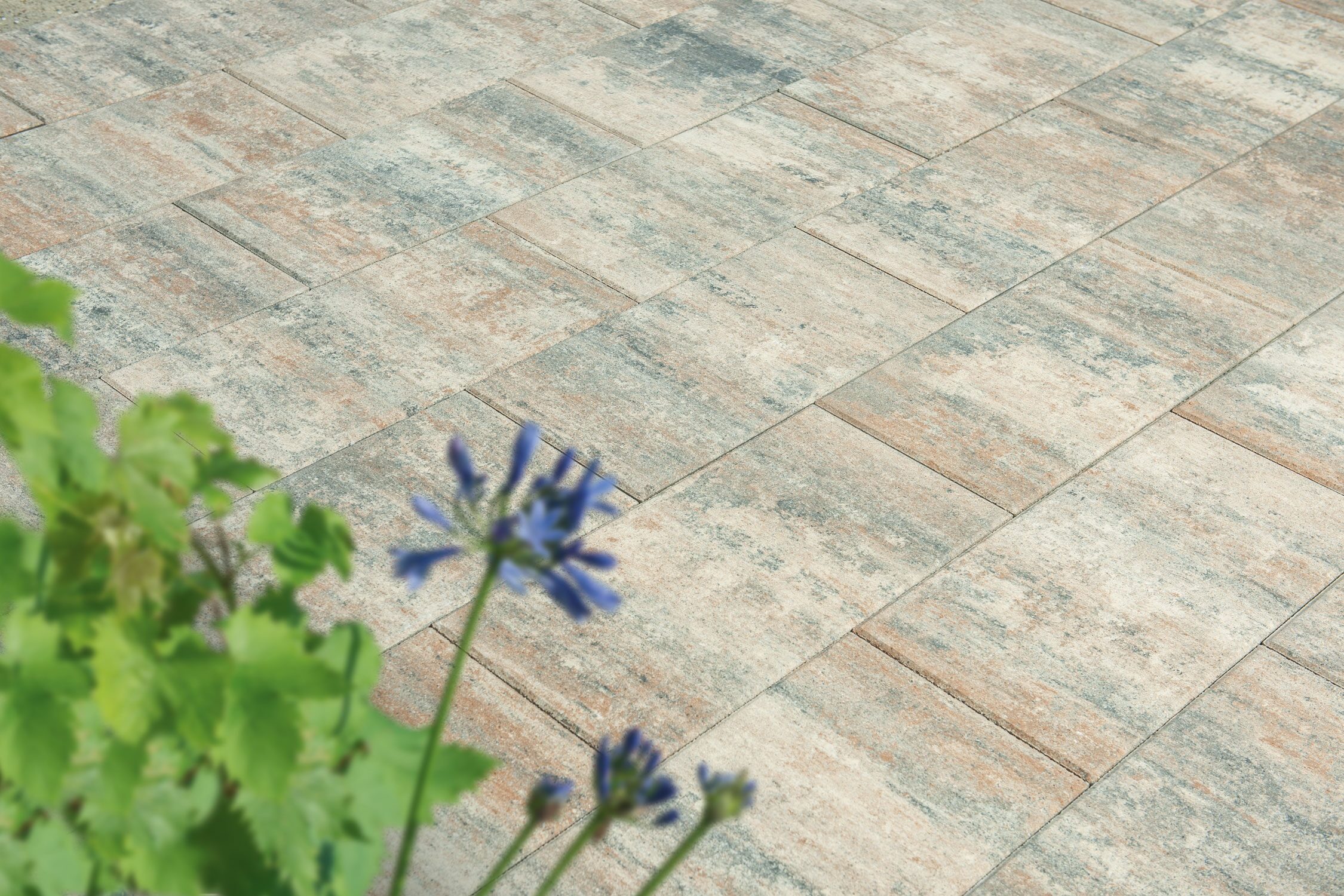 VIA TERRASSENPLATTEN – VIA MUSCHELKALK 60/30/4 CM PE2 96/DBP – MUSCHELKALK – 60 x 30 x 4 cm – Beschichtet – Hauptansicht