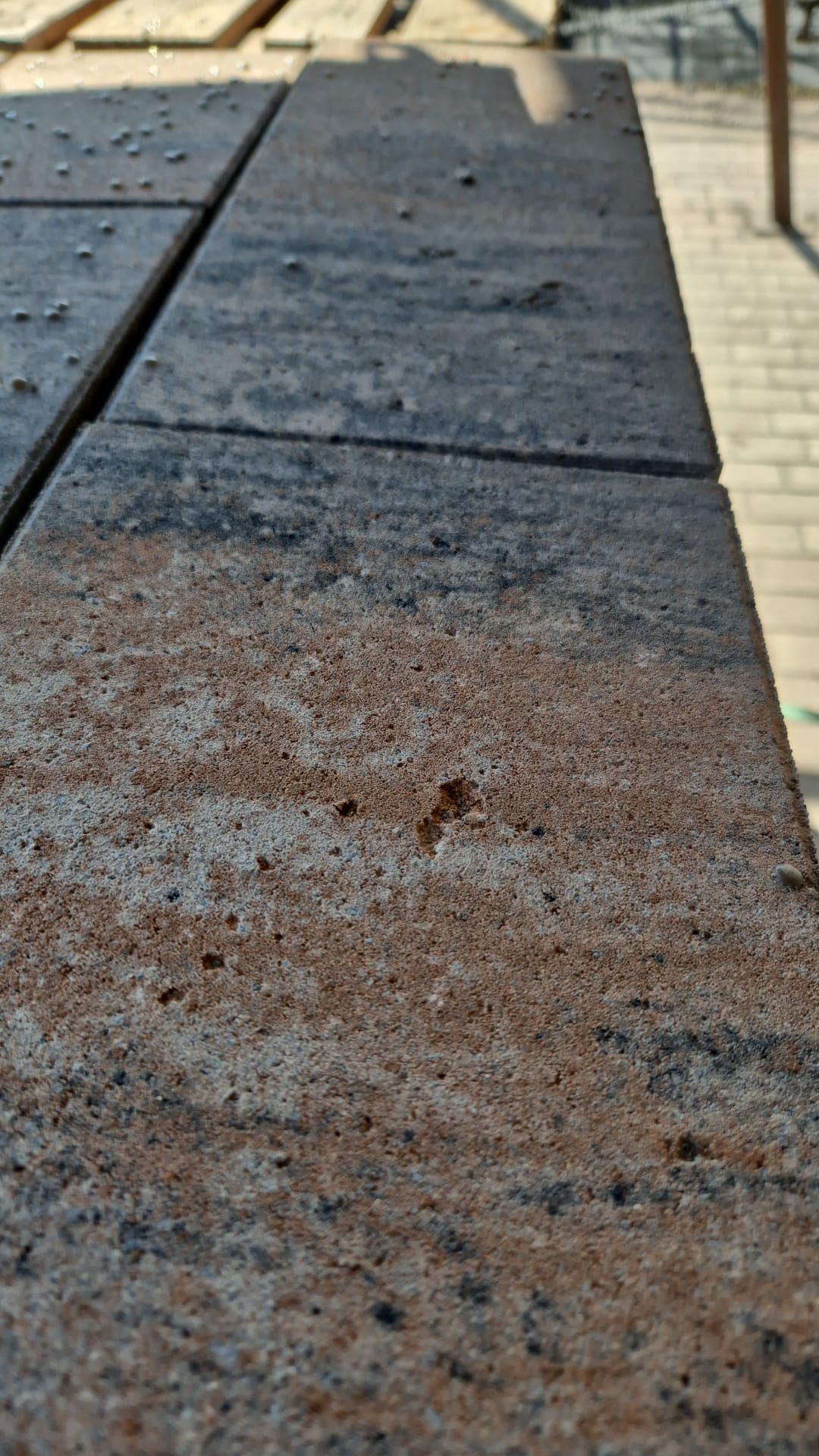 VIA LINEO – Pflastersteine 1B  VIA LINEO MUSCHELKALK PE2 – MUSCHELKALK – mit Fase – Seitenansicht