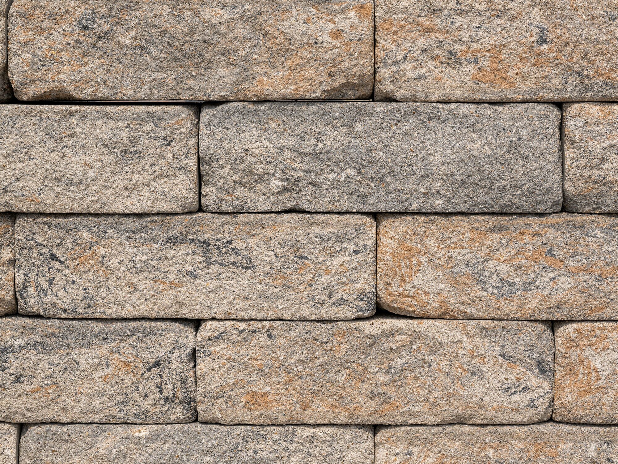 SIOLA®-ANTIK – SIOLA-ANTIK MUSCHELK 50/25/15 CM PE3 – MUSCHELKALK – 50 x 25 x 15 cm – Beschichtet – Detailansicht