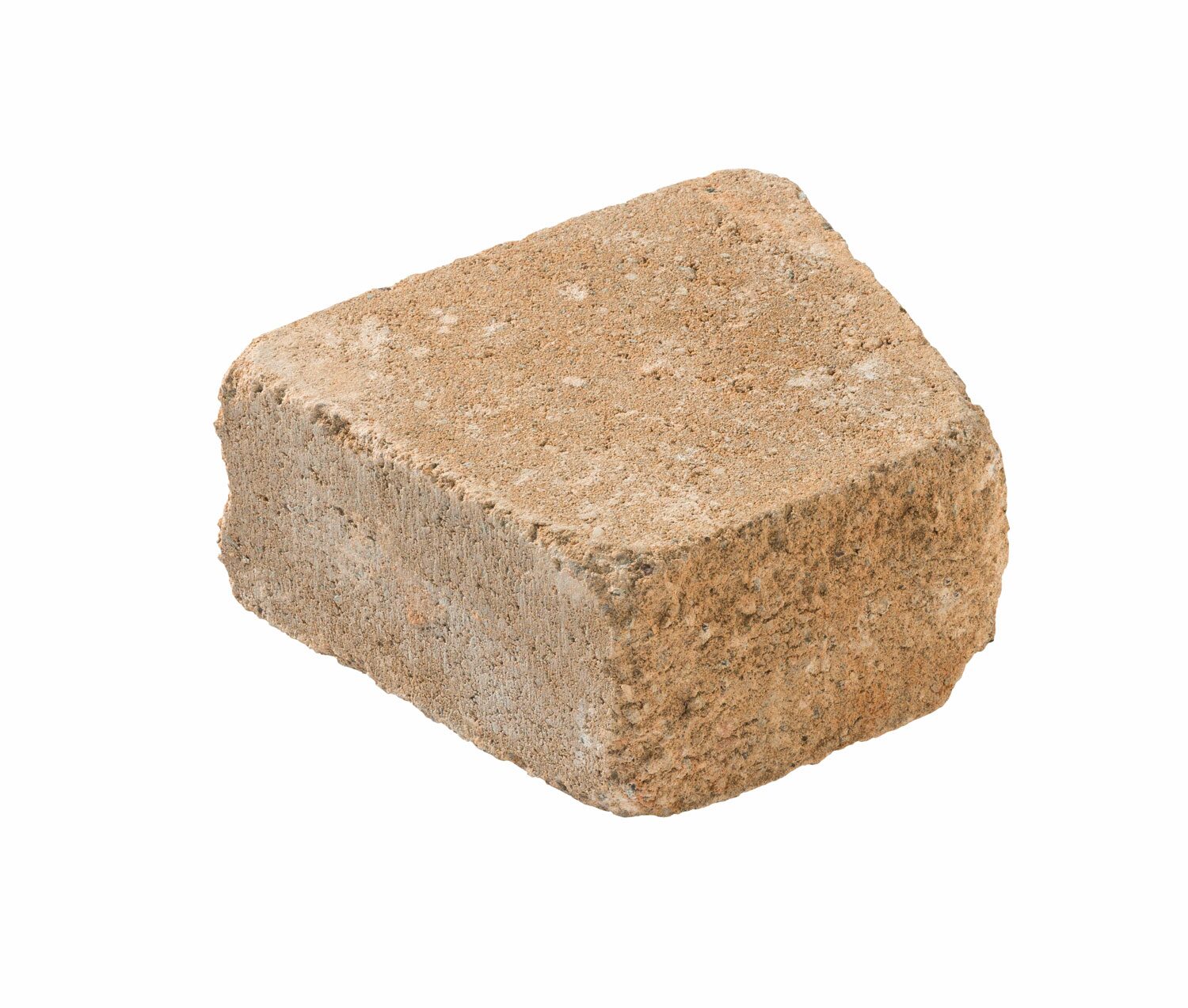 RISO KRÄUTERSCHNECKE – RISO SCHNECKE TERRACOTTA – TERRACOTTA – 23/17/21,5/10 – Strukturiert – Hauptansicht