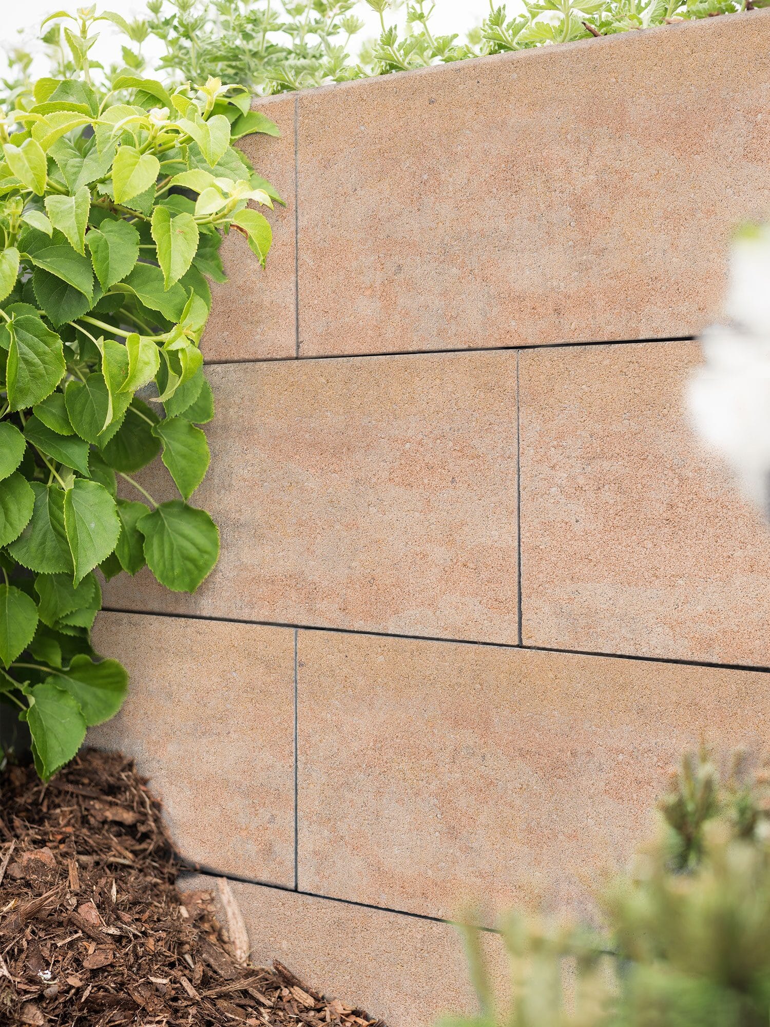 CONO SCHALUNGSSTEINE – CONO SCHALUNGSSTEIN SANDSTEIN 50/24/25CM – SANDSTEIN – 50 x 24 x 25 cm – Unbehandelt – Hauptansicht