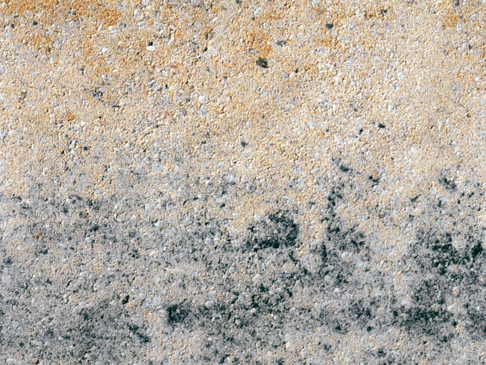 MÄHROBOTERKANTENSTEIN – RANDSTEIN MÄHROBOTER MUSCHELKALK 15/24/4 – MUSCHELKALK – 15 x 24 x 4 cm – Unbehandelt – Hauptansicht