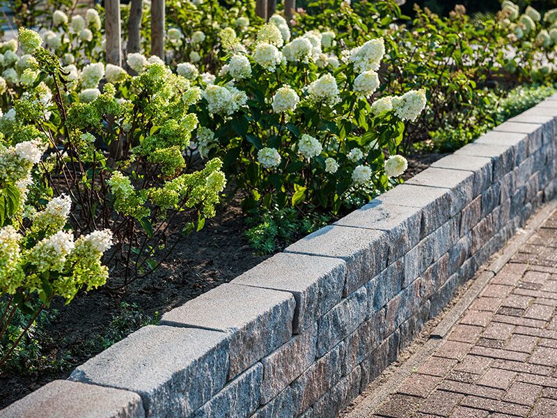 SIOLA®-MEDIO – SIOLA-MEDIO MUSCHELKALK 42/21/12,5 PE3 – MUSCHELKALK – 42 x 21 x 12,5 cm – Beschichtet – Detailansicht