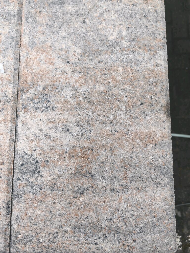 VIA TERRASSENPLATTEN – Terrassenplatten 1B VIA MUSCHELKALK 40/20/4 CM – 40 x 20 x 4 cm – Hauptansicht