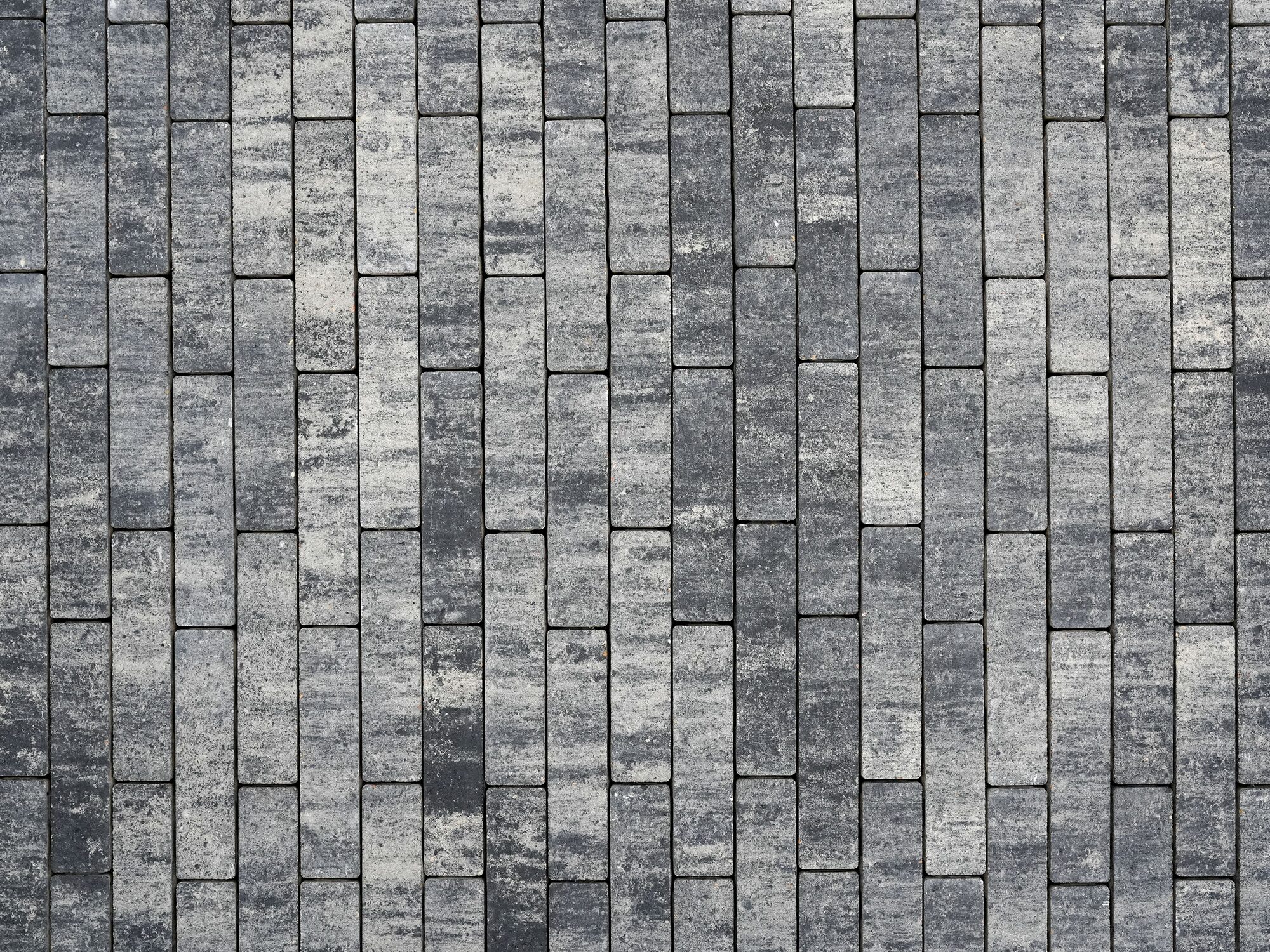 LIGONA – LIGONA RIEMCHEN WEIß-SCHWARZ 24/6/7 PE2 – WEISS-SCHWARZ – 24 x 6 x 7 cm – Beschichtet – Umgebungsansicht