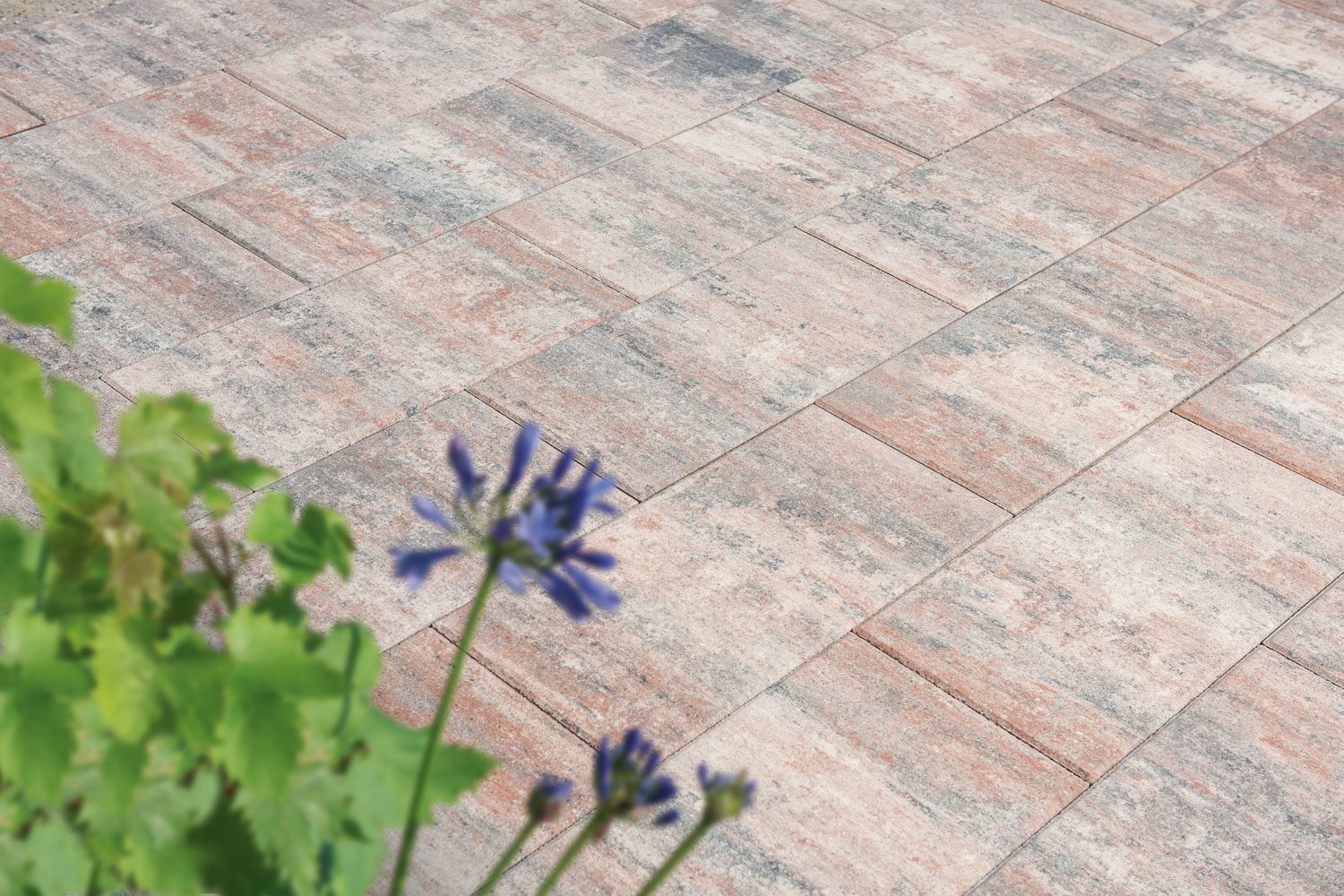 VIA TERRASSENPLATTEN – VIA MUSCHELBEIGE 60/30/4CM PE2 96/DBP – MUSCHELBEIGE – 60 x 30 x 4 cm – Beschichtet – Detailansicht